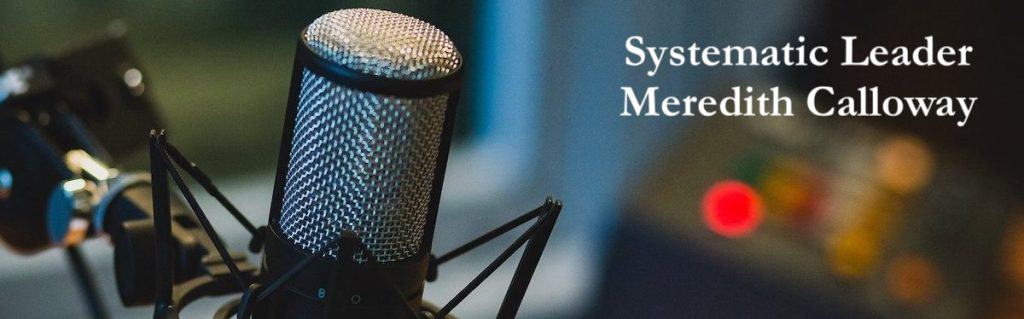 Mic on stand for podcast interview